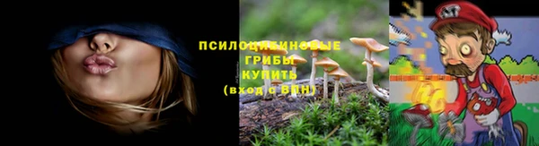 Альфа ПВП Арсеньев