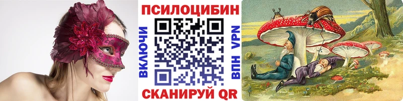 цены   Котельниково  Псилоцибиновые грибы Cubensis 